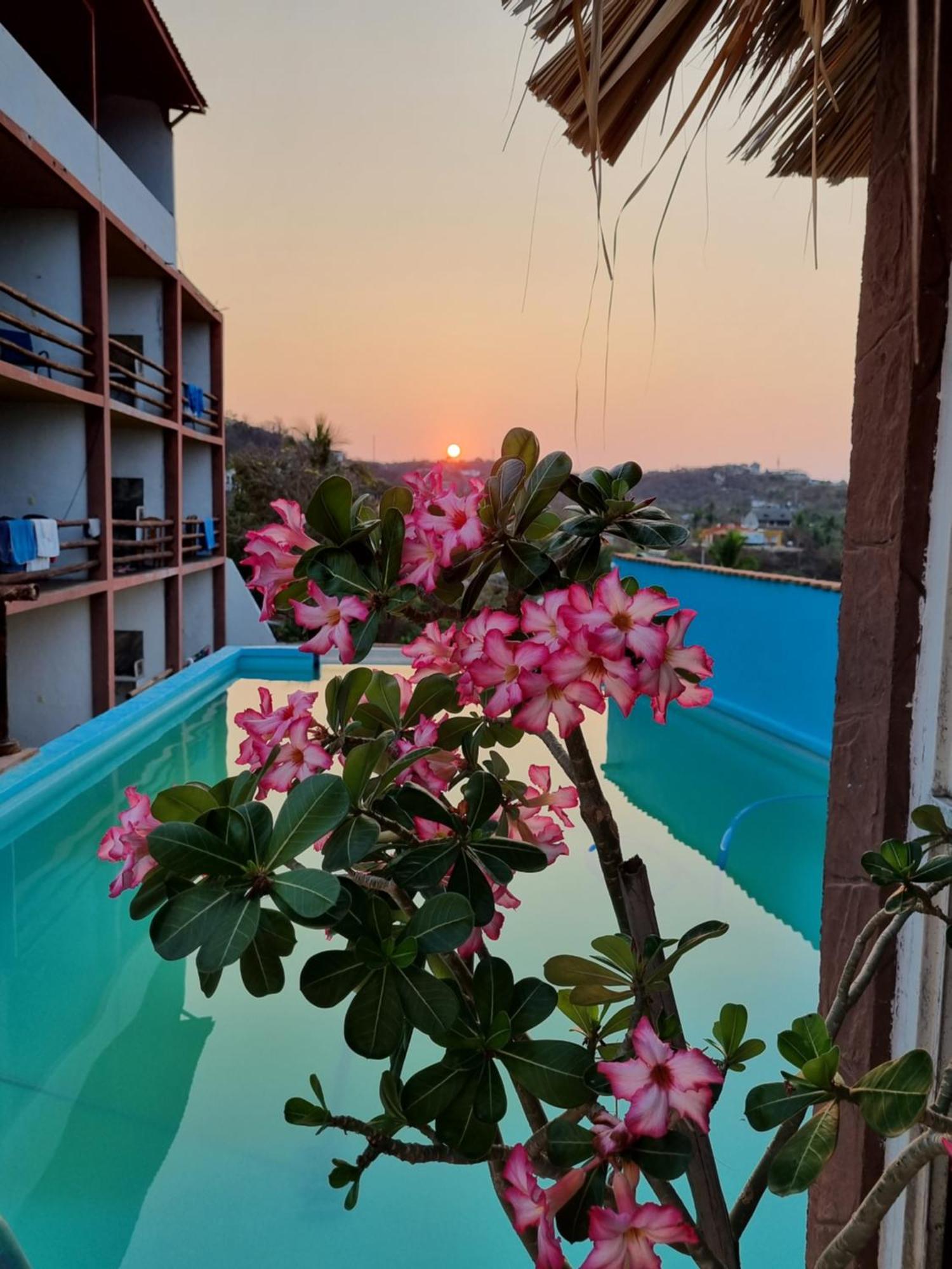 Namaste Zipolite Suites Ngoại thất bức ảnh